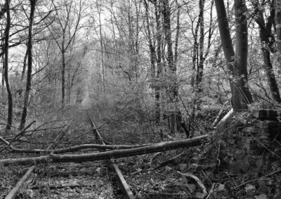 Die Schwarz-Weiß-Fotografie zeigt ein von dem*der Betrachter*In wegführendes Gleis im Wald. Im Vordergrund liegen Baumstämme über den Gleisen. Auf der rechten Seite ist ein verfallendes Steinfundament zu erkennen.