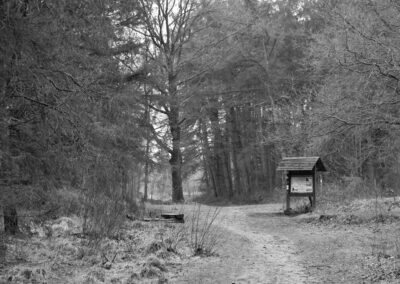 Die Schwarz-Weiß-Fotografie zeigt einen kleinen Weg, von Bäumen gesäumt. Auf der rechten Seite des Weges steht eine hölzerne Informationstafel.