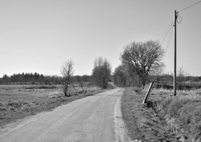 Die Schwarz-Weiß-Fotografie zeigt eine kleine Straße zwischen Wiesen, von Baumreihen durchbrochen. Auf der rechten Seite sind Holzpfähle, verbunden durch eine Stromleitung, zu erkennen.